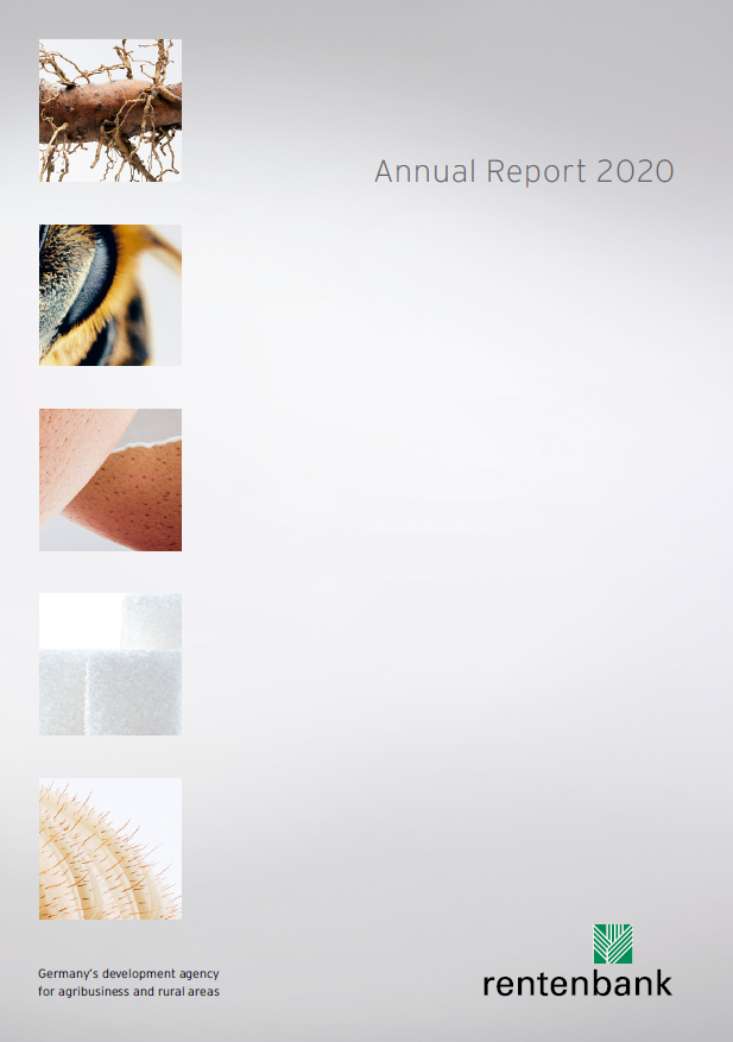 Rentenbank Annual Report 2020
