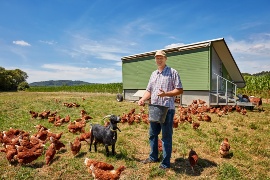 Dennis Hartmann, umringt von Hühnern, vor seinem mobilen Hühnerstall. (Nachhaltigkeits-Projekt: Legehennenhaltung Hartmann)