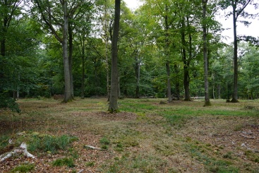 Der Caspar-David-Friedrich-Wald im hessischen Wetterau. (Nachhaltigkeits-Projekt: Caspar-David-Friedrich-Wald)