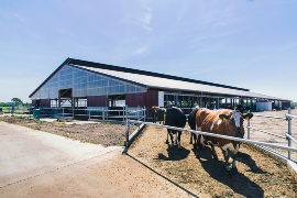 The new freestall barn at Backensholzer Hof from the outside. (Sustainable project: Backensholzer Hof)