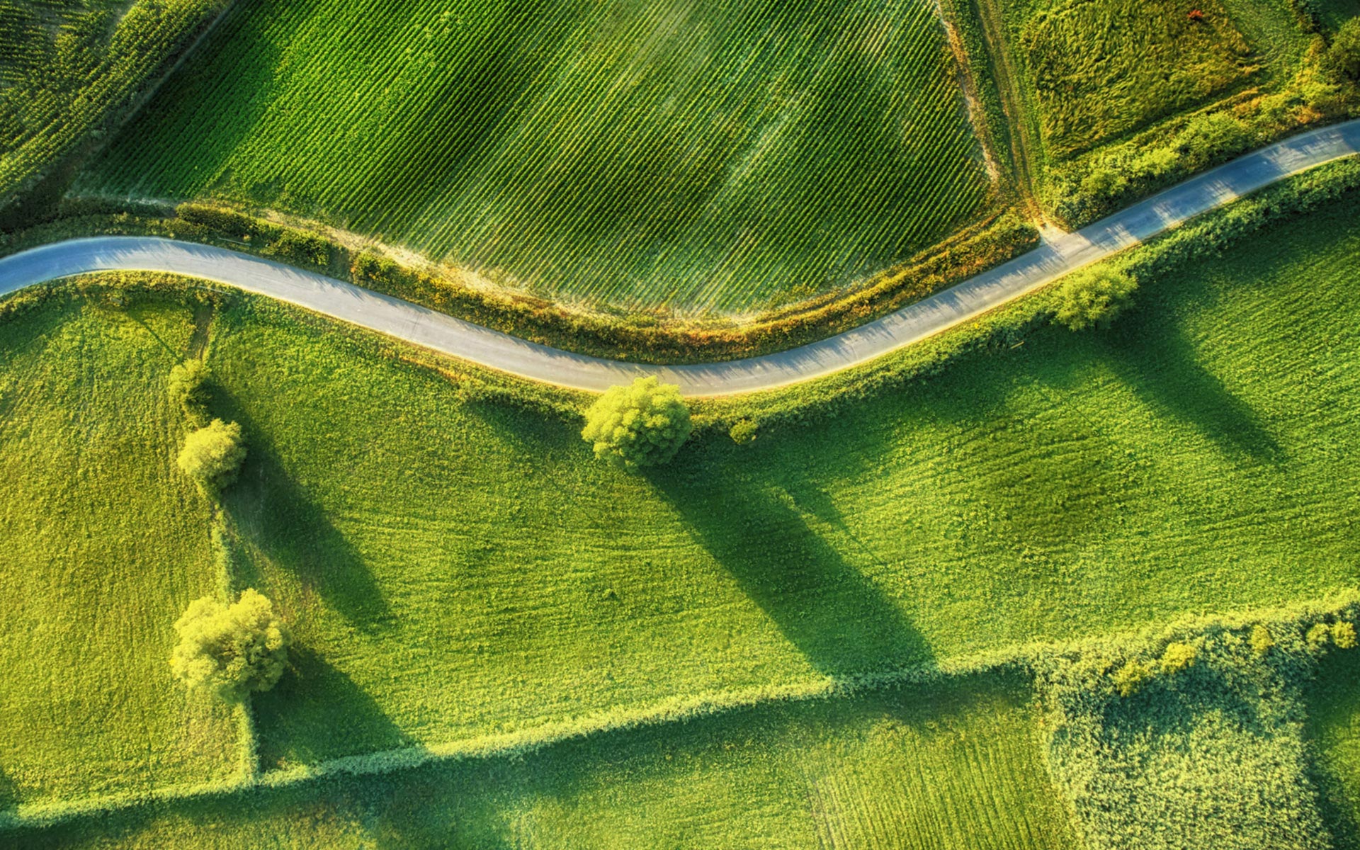 Eine Landstraße, die sich durch grüne Wiesen und Felder zieht.
