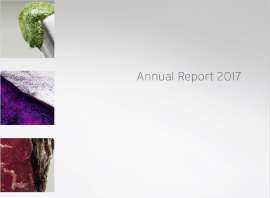 Annual Report 2017