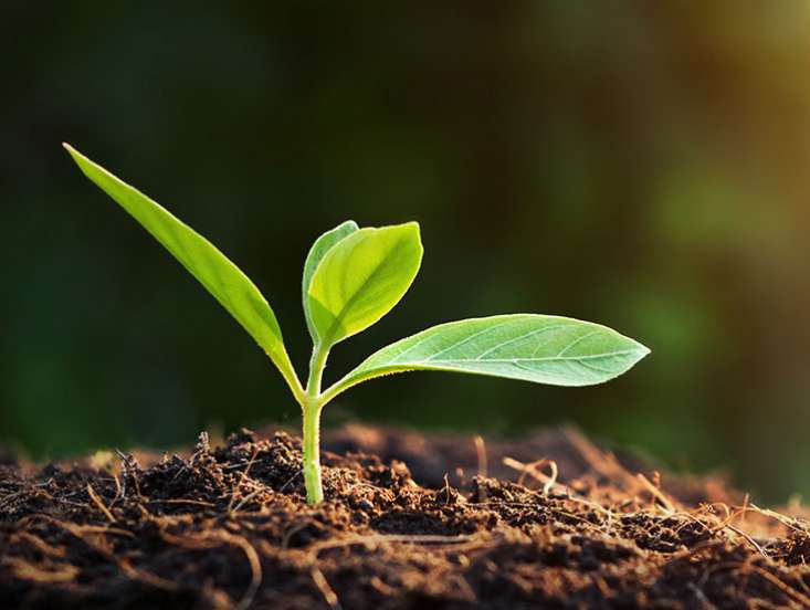 Carbon Farming