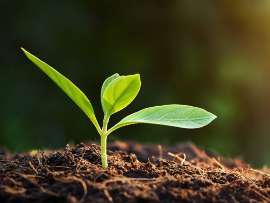 Carbon Farming