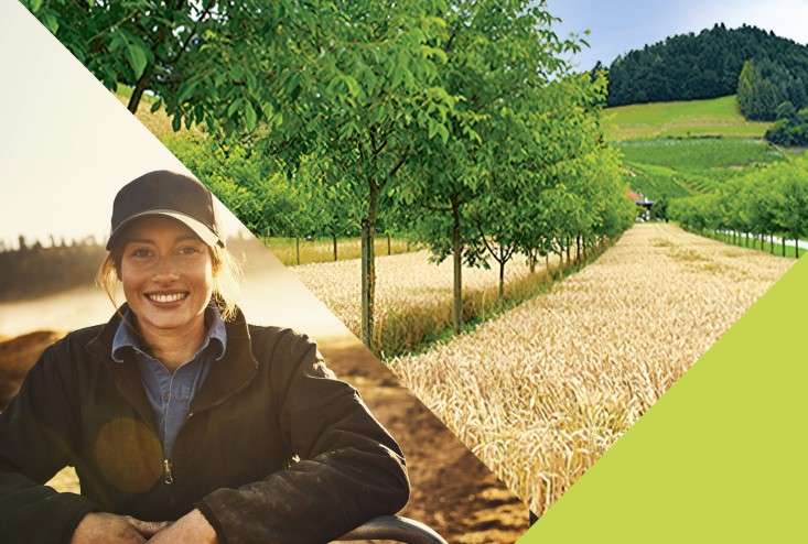 Digital DKB-Event: Programmvorstellung "Zukunftsfelder im Fokus"