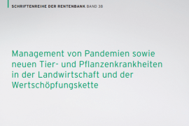 Titelseite Edmund-Rehwinkel-Stiftung Management von Pandemien
